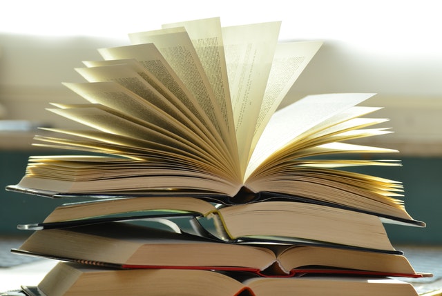 You are currently viewing New Books, Debut Authors, Plus Series Author Matt Goldman