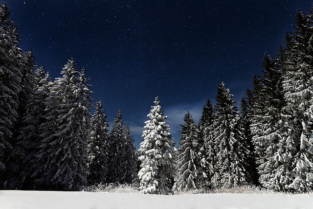 Read more about the article Two Debut Mysteries For a Cold Winter Night