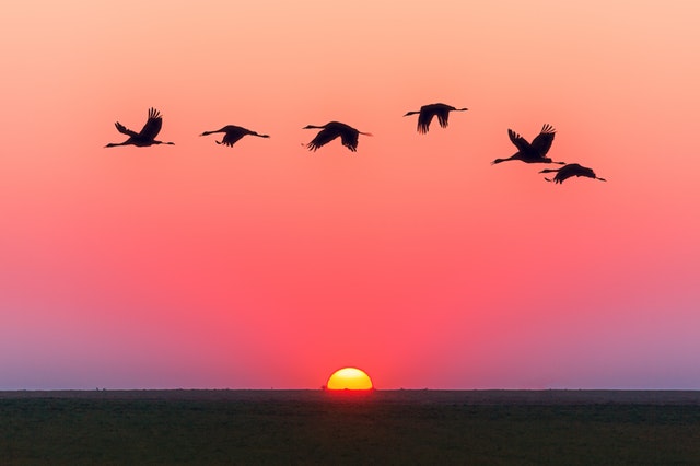 Read more about the article A Writer Finds Compassion for 2019