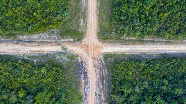 Read more about the article Different Roads to Reach Debut Novels
