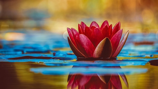 Read more about the article Moments of Zen For a Busy World