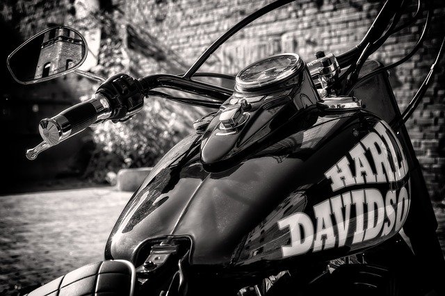 Read more about the article A Philosopher, a Biker, and a Crime Writer Walk into a Bar