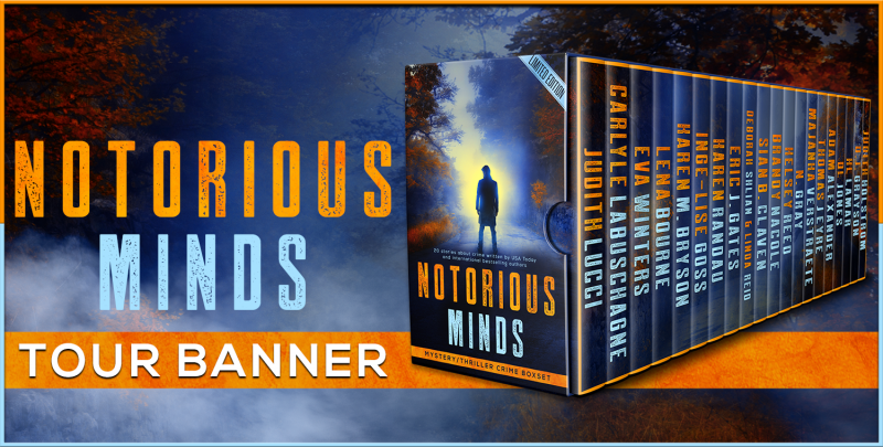 You are currently viewing Notorious Minds Boxset: Spotlight on Author Karen Randau