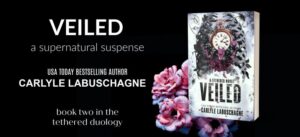 Read more about the article Carlyle Labuschagne: Cover Reveal for Veiled