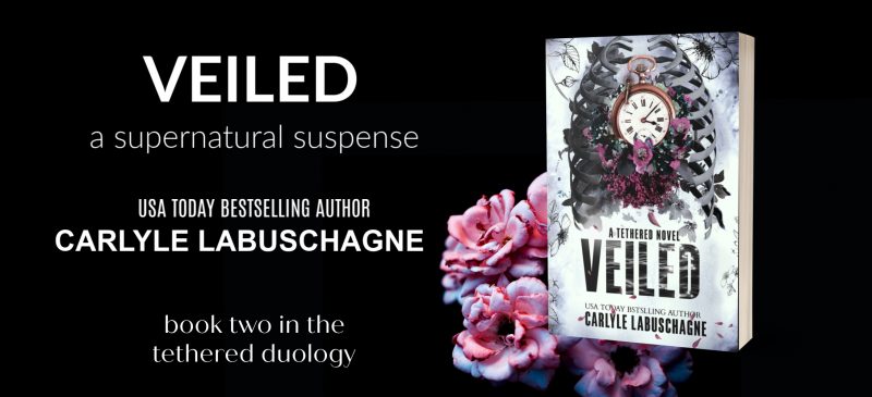 You are currently viewing Carlyle Labuschagne: Cover Reveal for Veiled