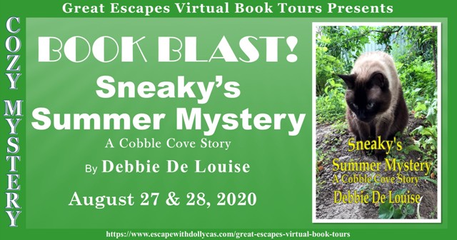 Read more about the article Debbie De Louise: Sneaky’s Summer Mystery