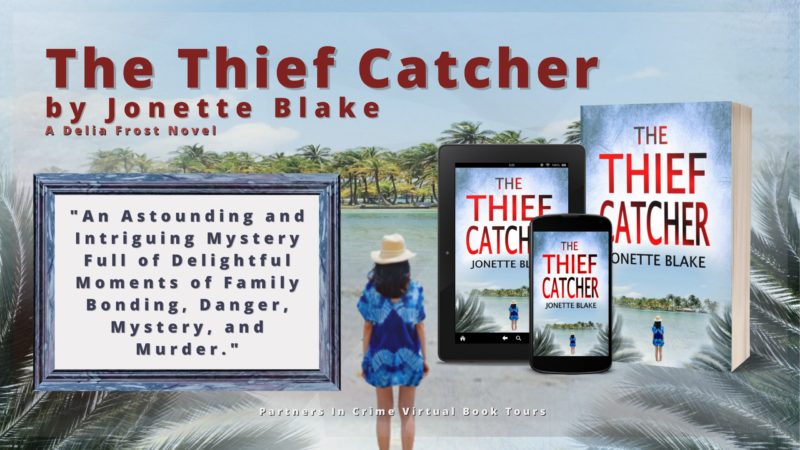 You are currently viewing The Thief Catcher, A New Mystery by Jonette Blake