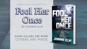 Read more about the article Fool Her Once: A New Domestic Thriller
