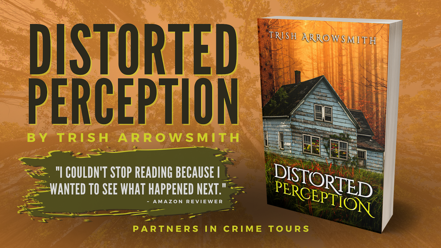 Read more about the article Distorted Perception by Trish Arrowsmith