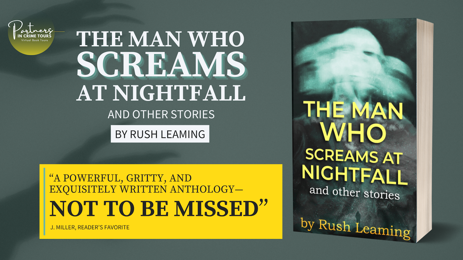 Read more about the article The Man Who Screams at Nightfall