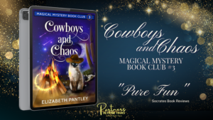 Read more about the article Cowboys and Chaos: Book Blast