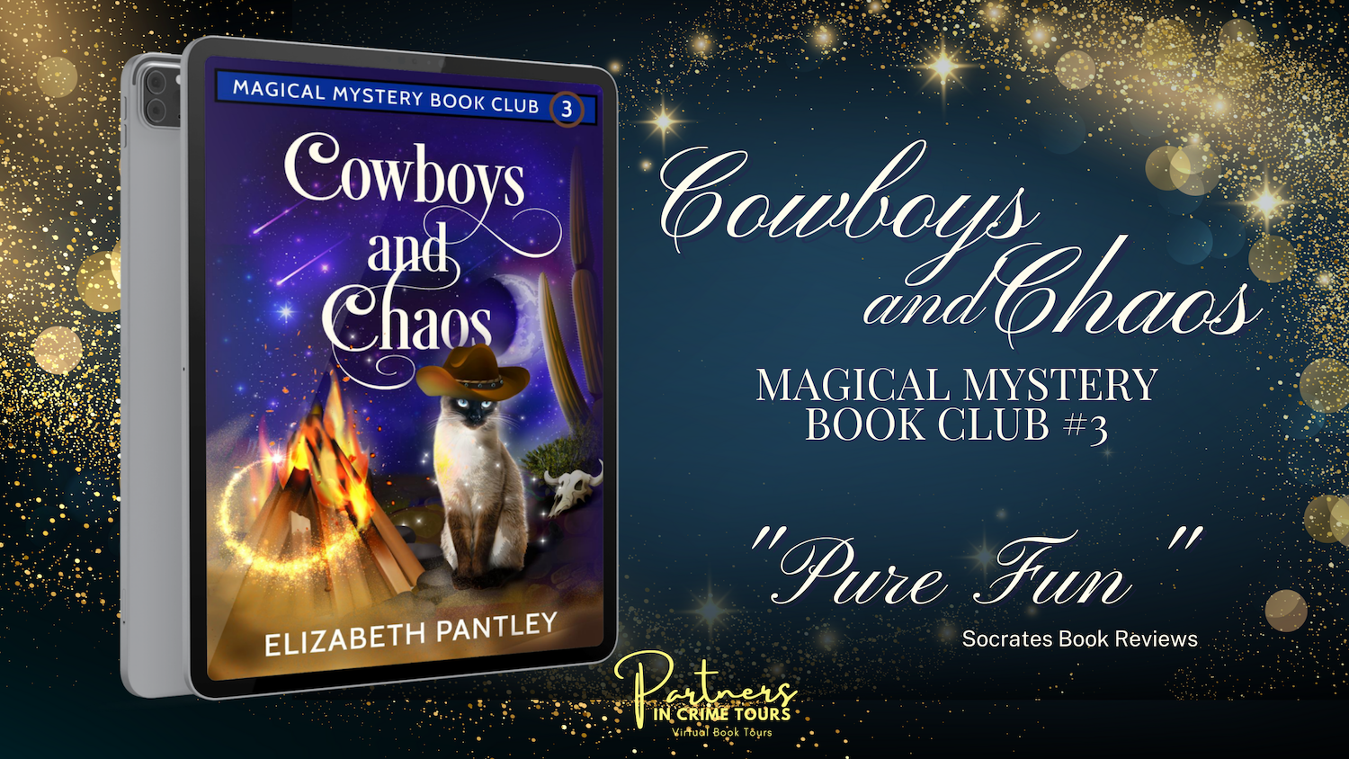 You are currently viewing Cowboys and Chaos: Book Blast