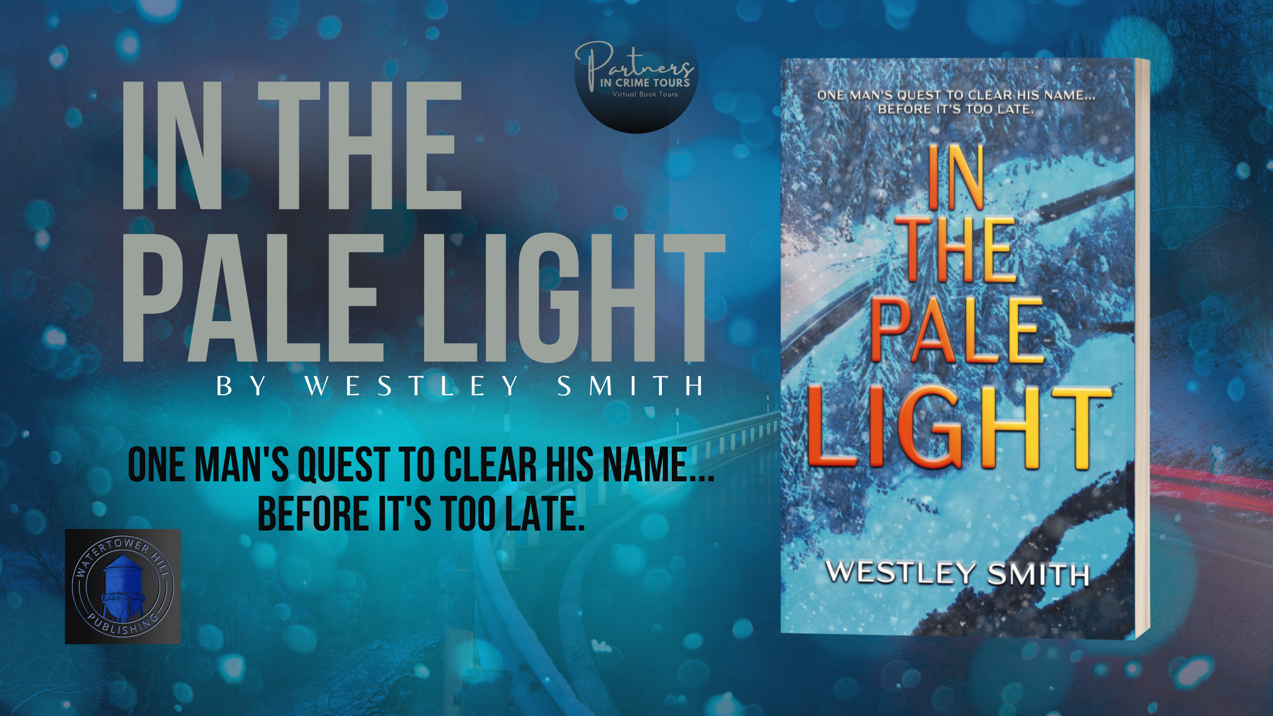 Read more about the article In the Pale Light: A Crime Thriller