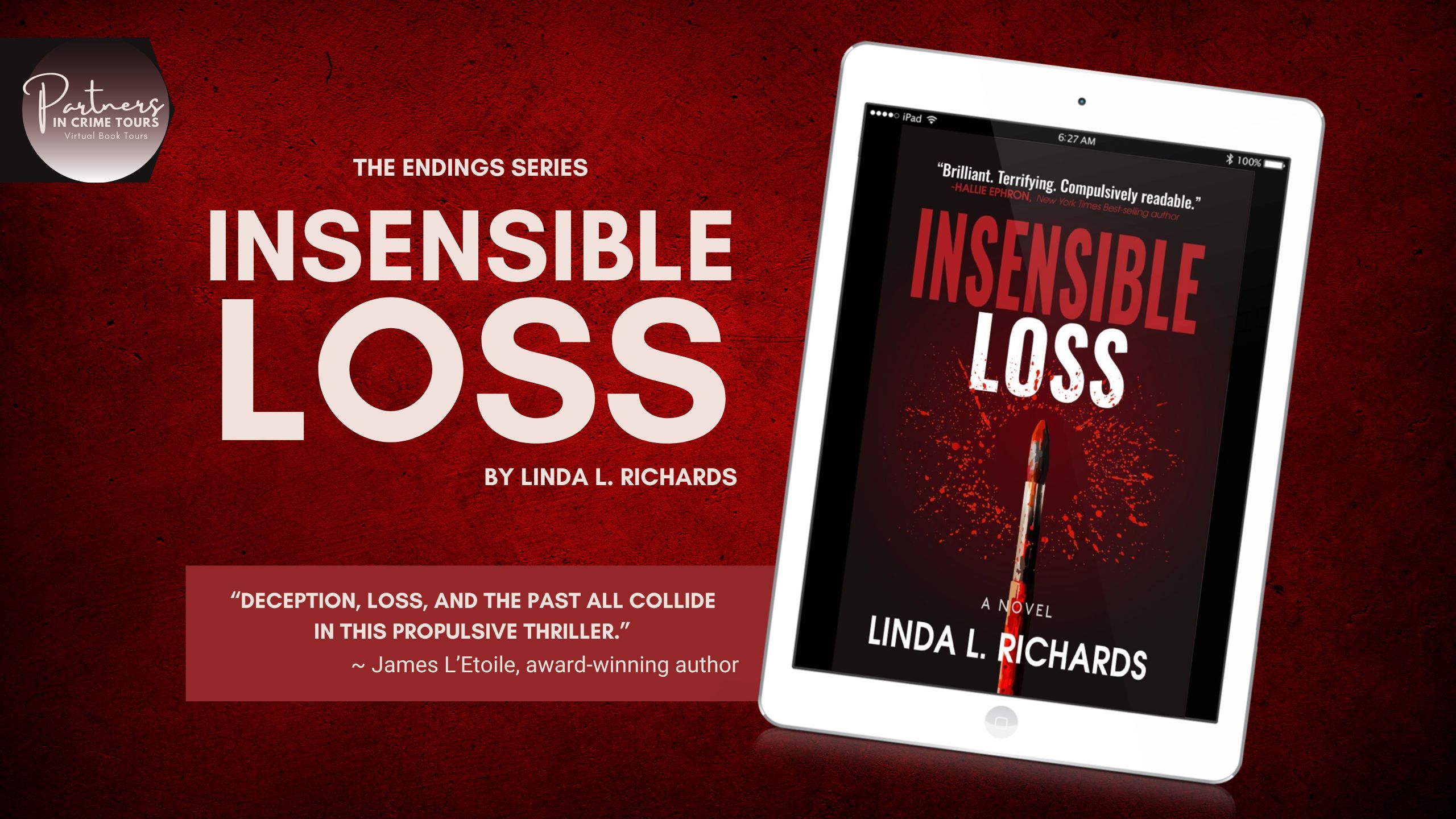 Read more about the article Insensible Loss: A New Thriller
