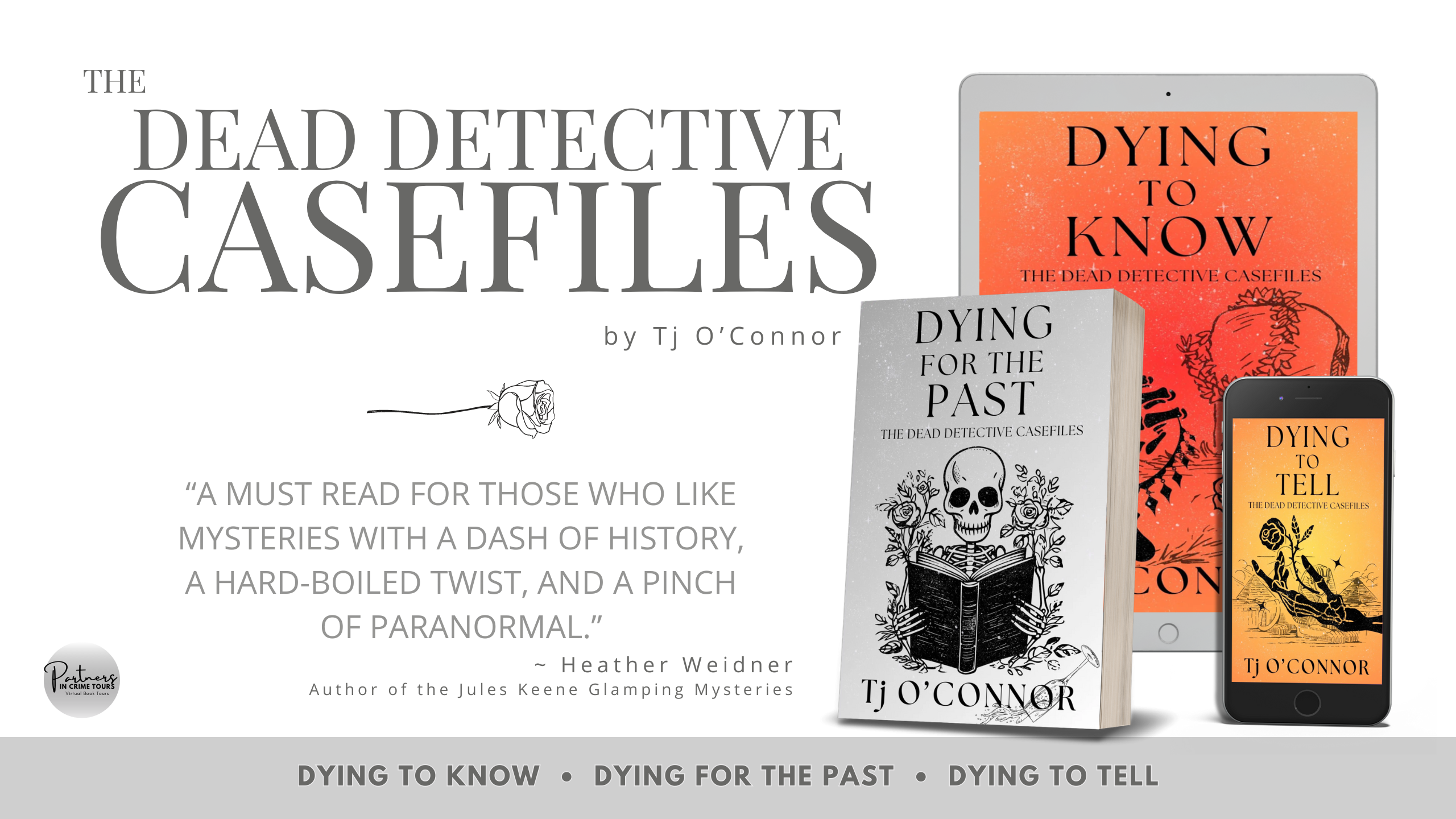 Read more about the article The Dead Detective Casefiles: The Series