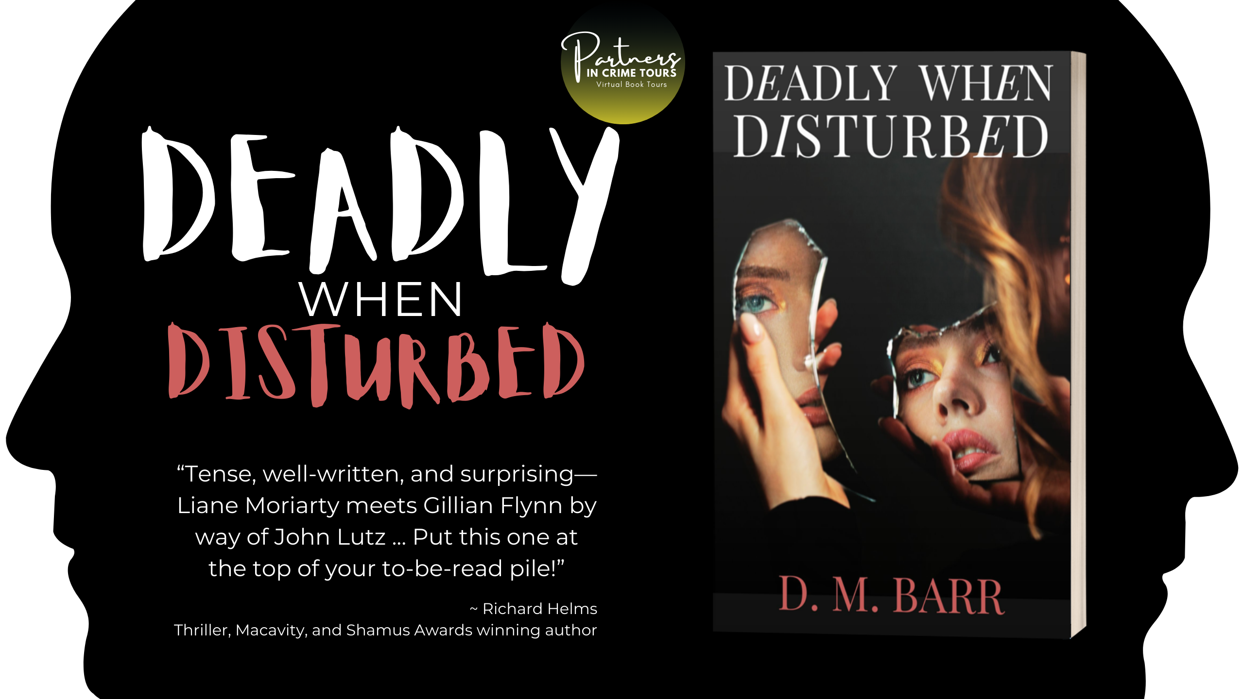 Read more about the article Deadly When Disturbed: New Domestic Suspense