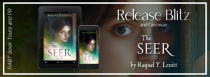 Read more about the article The Seer:  Paranormal Historical Story