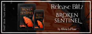 Read more about the article Broken Sentinel: A Dystopian Romance