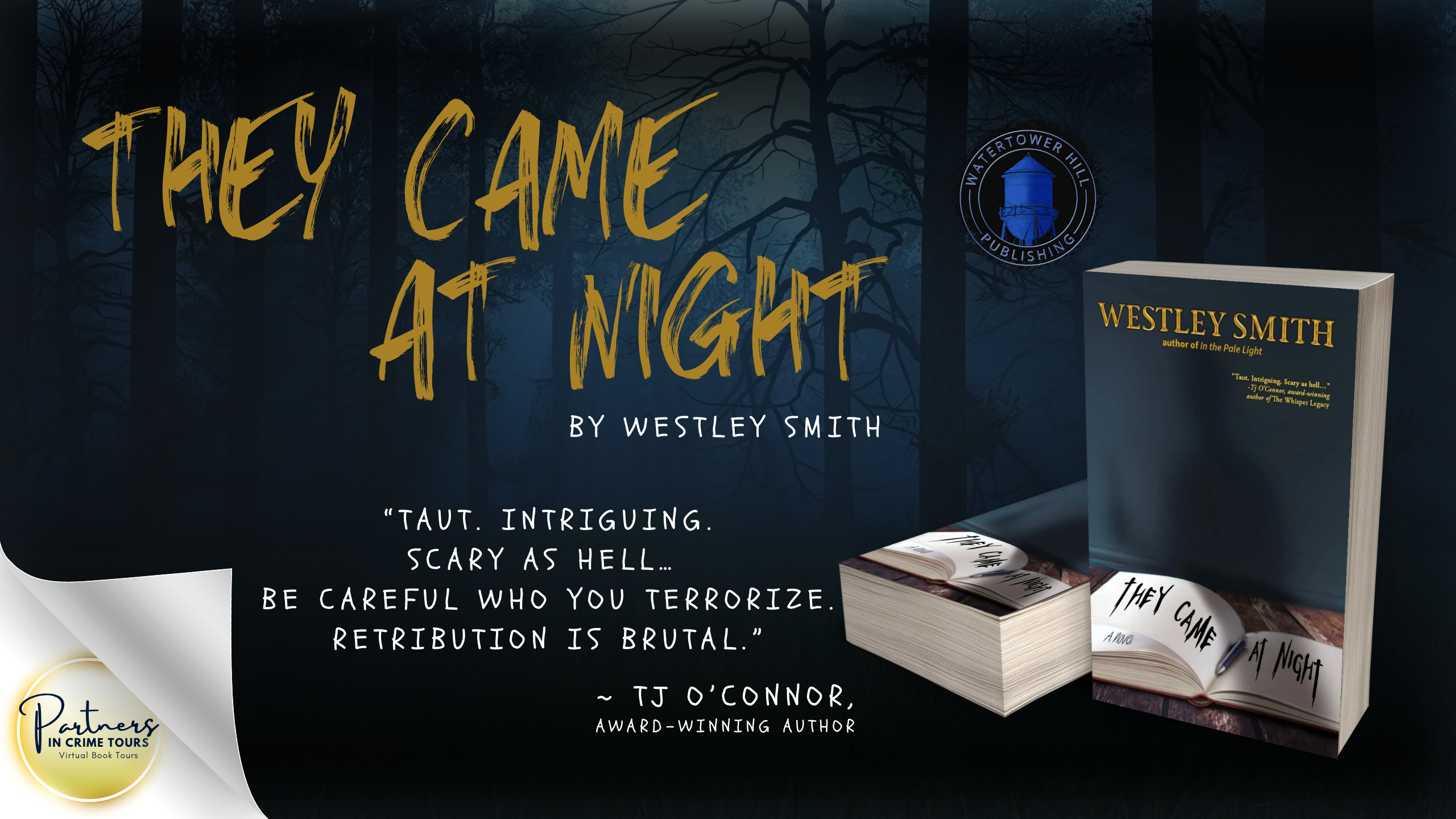 Read more about the article They Came At Night: A Thriller