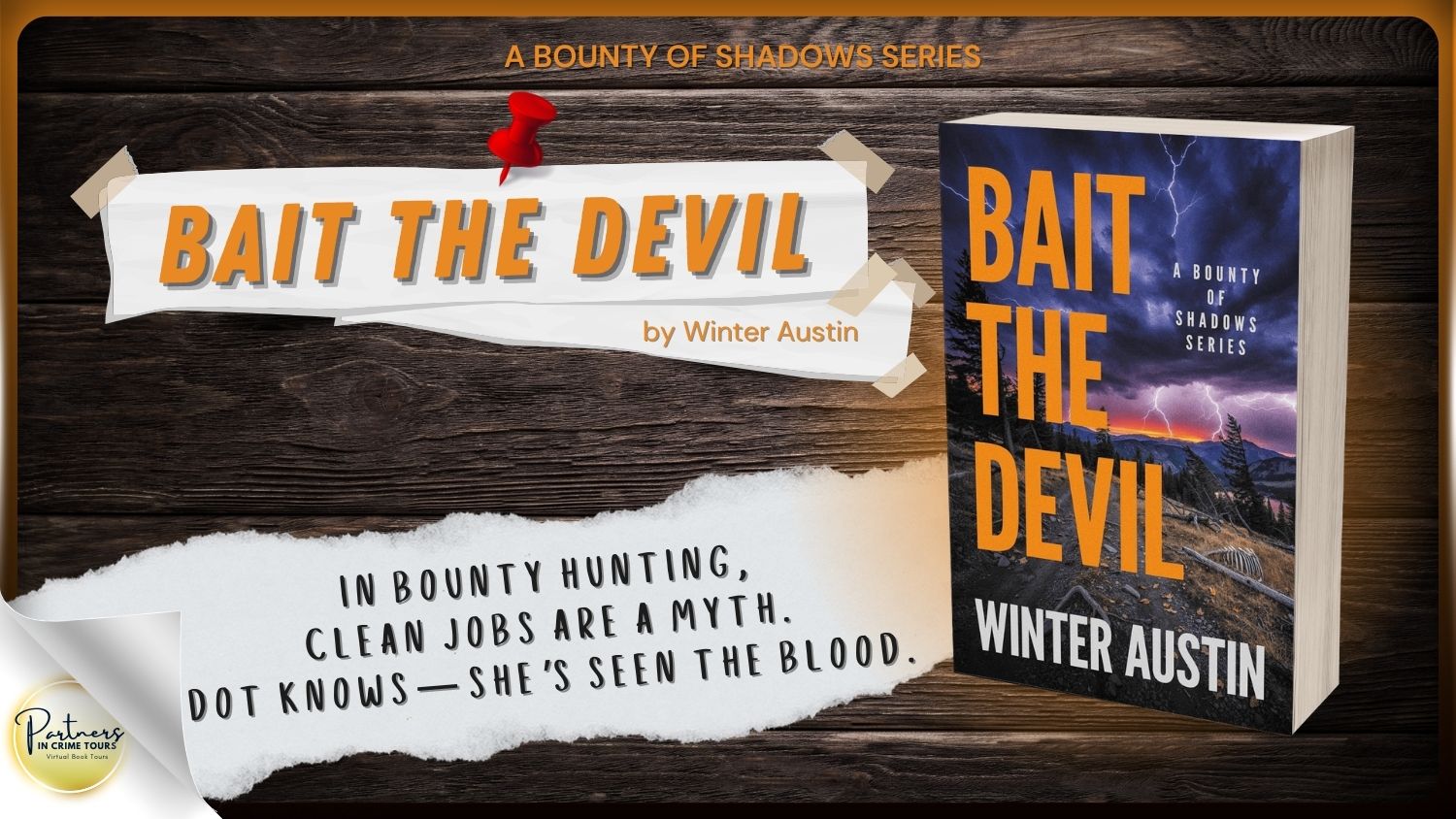 Read more about the article Bait the Devil: A Modern Western Thriller