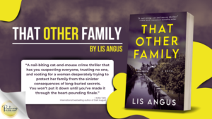 Read more about the article That Other Family: Domestic Thriller