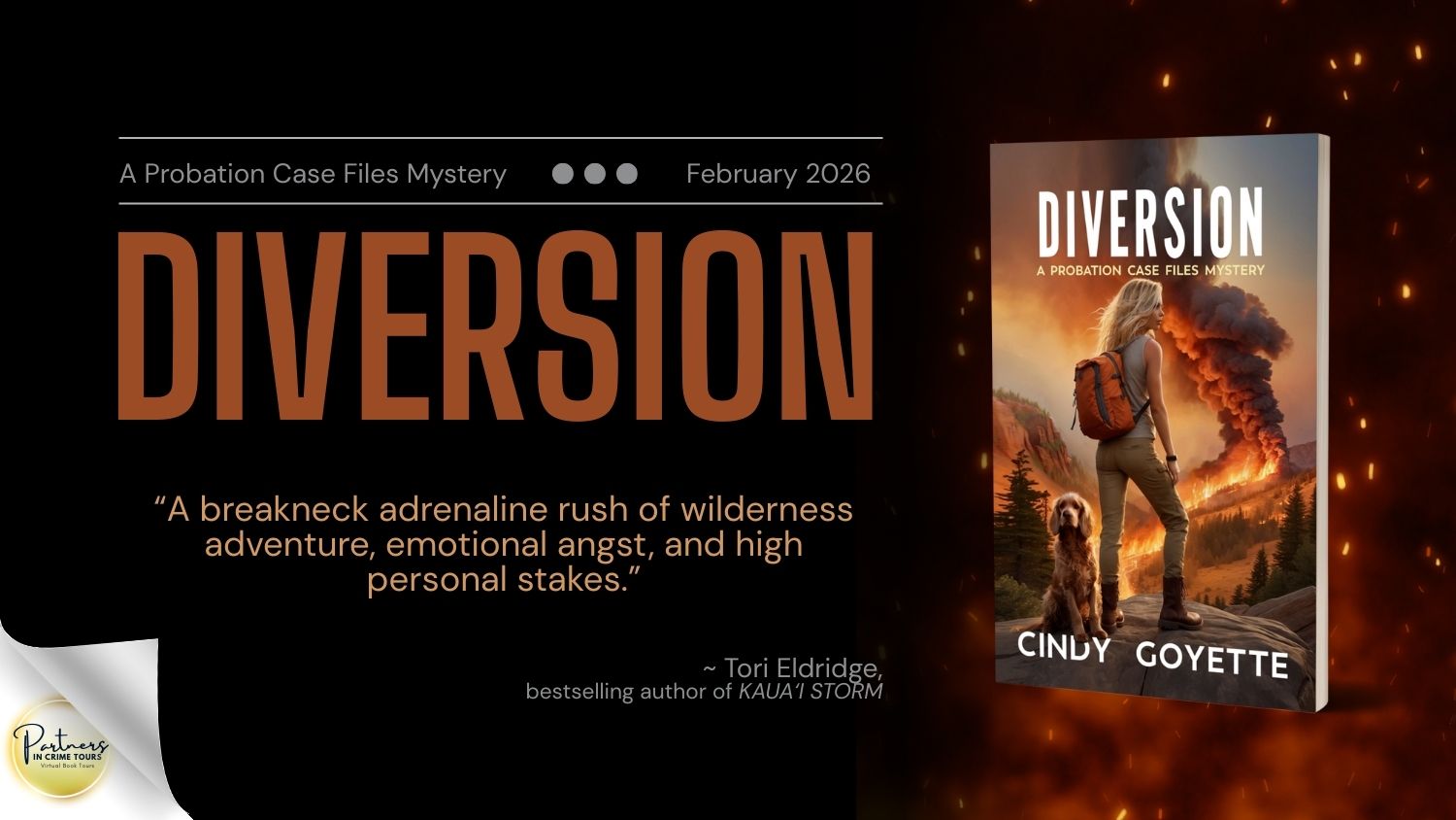 Read more about the article Diversion: A Probation Case Files Mystery
