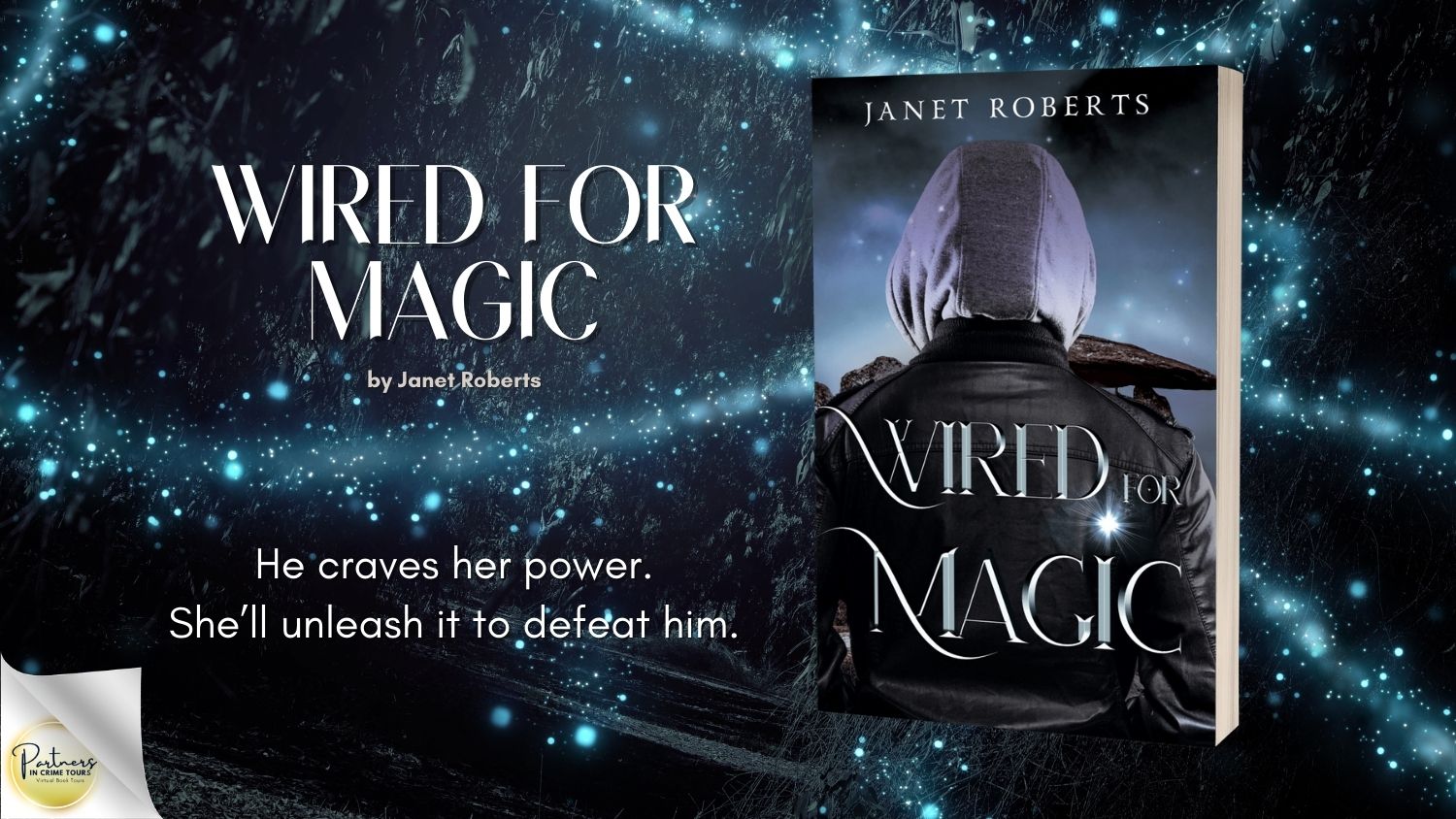 Read more about the article Wired for Magic: Fantasy Suspense