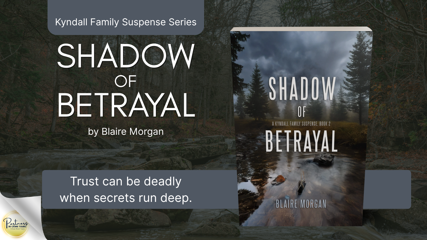 You are currently viewing Shadow of Betrayal: Kyndall Family Suspense Series